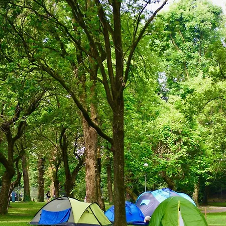 Camping 캠프장