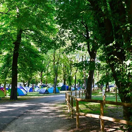 Camping 캠프장 몬차