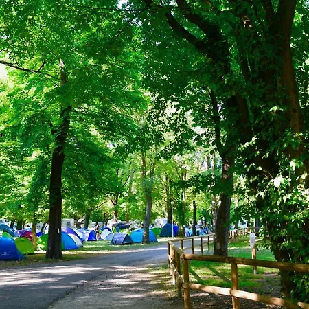 Kamp alanı Camping *