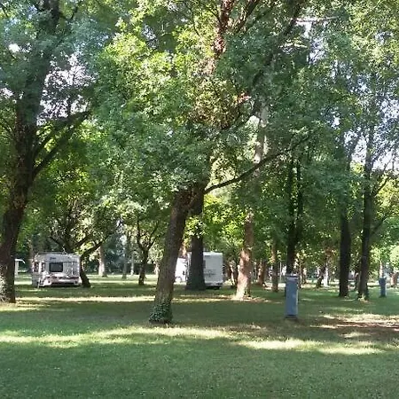 Camping *